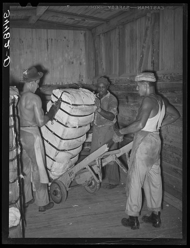 Untitled photo, possibly related to: Negro unloading bale of cotton from railroad car. Compress, Houston, Texas
