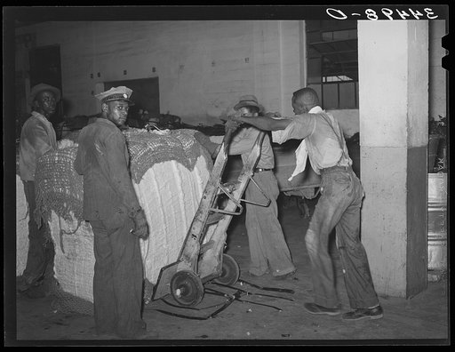 Untitled photo, possibly related to: Action in loading a bale of cotton onto truck for transporting to compress. Houston, Texas