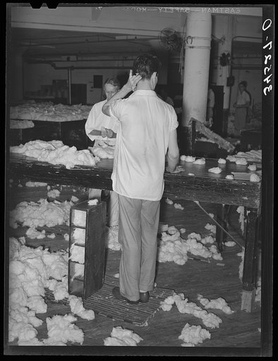 Untitled photo, possibly related to: Sampling cotton at compress for length of staple and grade. These expert samplers can tell merely by looking at the staple what its length is within one sixteenth of an inch. Compress, Houston, Texas