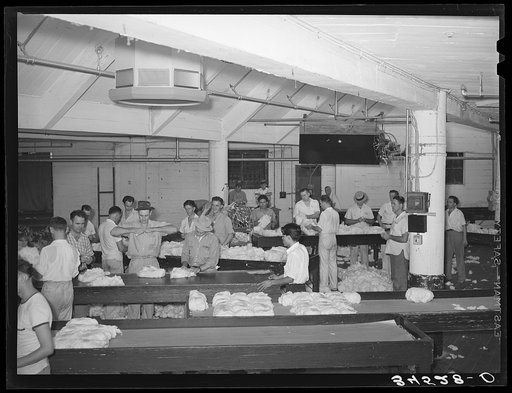 Sampling room, cotton compress, part of compress. Port of Houston, Texas