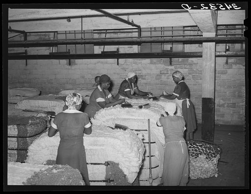 Negro women cleaning up damaged bales of cotton. Compress, Houston, Texas