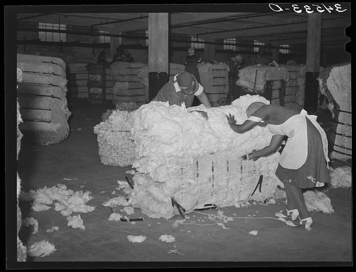 Negro women cleaning up damaged bales of cotton. Compress, Houston, Texas