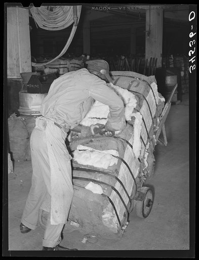 Cutting burlap bag to take sample of cotton from bale. Compress, Houston, Texas