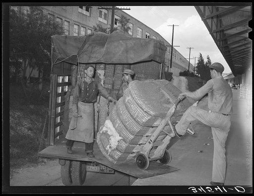 Unloading truckload of cotton. Compress, Houston, Texas