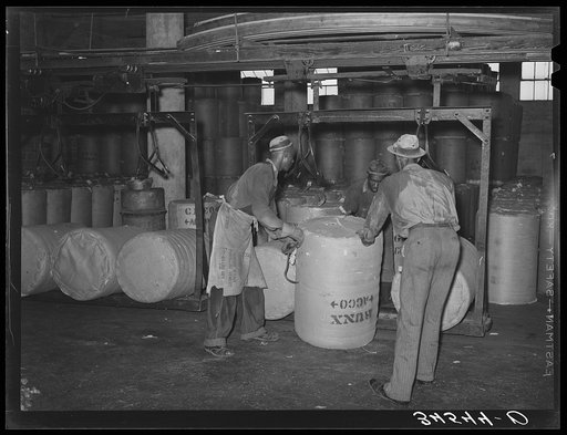 Loading round bales of cotton onto conveyer at compress, Houston, Texas. These are not full bales