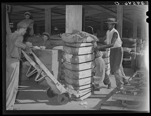 Putting bale of cotton onto hand truck. Compress, Houston, Texas