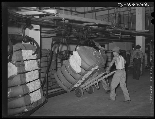 Removing bale of cotton from conveyer. Compress, Houston, Texas