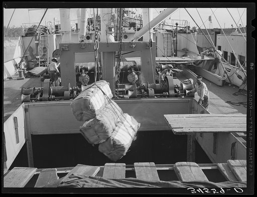 Loading cotton into hold of ship. Port of Houston, Texas