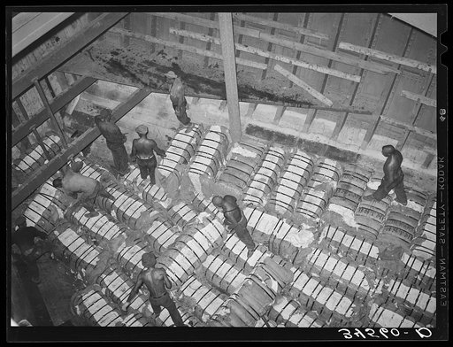 Storing bales of cotton into hold for freighter for export. Port of Houston, Texas