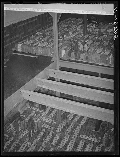Storing bales of cotton into hold of freighter for export. Notice the different levels. Port of Houston, Texas