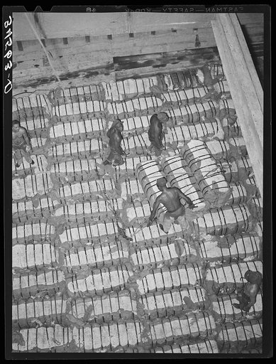 Storing bales of cotton into hold of freighter for export. Notice the different levels. Port of Houston, Texas