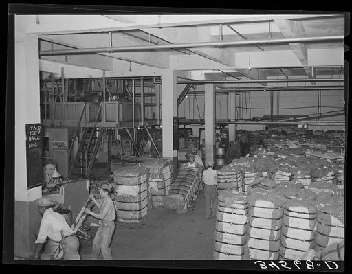 Interior of cotton compress and warehouse. Houston, Texas