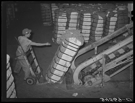 Shoving a bale of cotton onto conveyor at compress. Houston, Texas