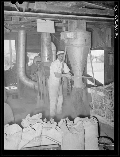 Proprietor of feed mill at hopper where ground feed pours into sack. Taylor, Texas