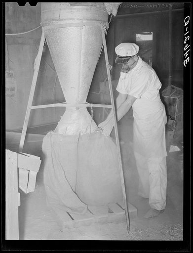 Proprietor of feed mill holding sack into which ground feed pours from hopper above. Taylor, Texas