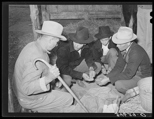 Men and boys examining seed at Gonzales County Fair. Gonzales, Texas