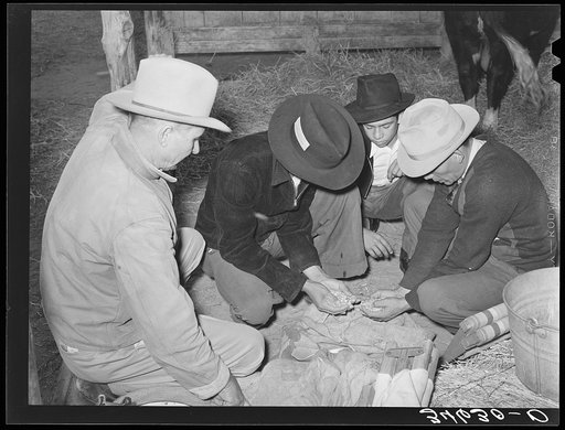 Men and boys examining seed at Gonzales County Fair. Gonzales, Texas
