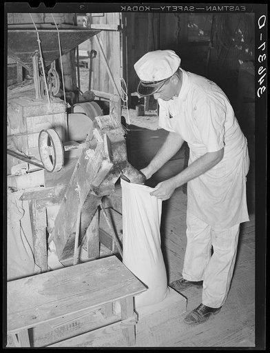 Proprietor of feed mill filling sack with freshly-ground corn meal. Taylor, Texas