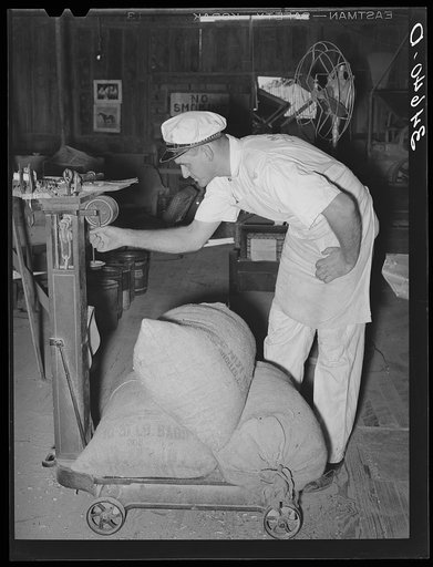 Proprietor of feed mill weighing sacks of feed. Taylor, Texas