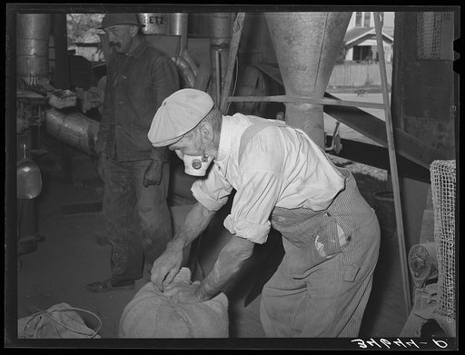 Untitled photo, possibly related to: Worker in feed mill taking up an armload of fodder which will be ground for feed. Taylor, Texas