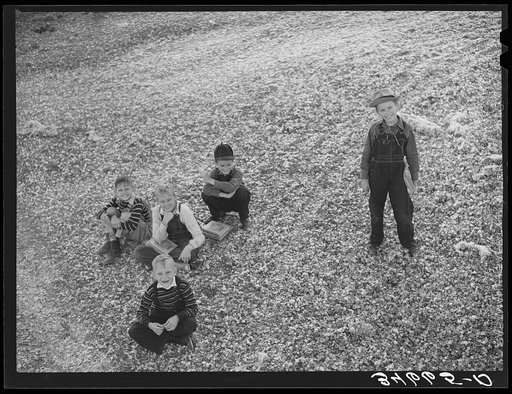 Untitled photo, possibly related to: Children playing in the waste in the gin yard on their way home from school. West, Texas