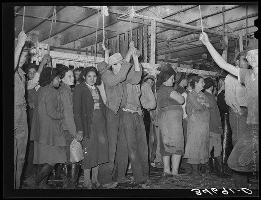 Turkey pickers waiting for work to start. Cooperative poultry plant, Brownwood, Texas