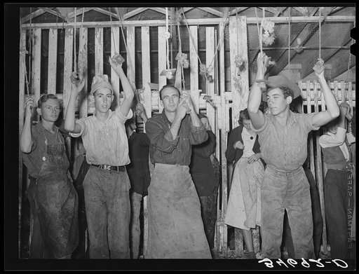 Untitled photo, possibly related to: Turkey pickers waiting for work to start. Cooperative poutry plant, Brownwood, Texas