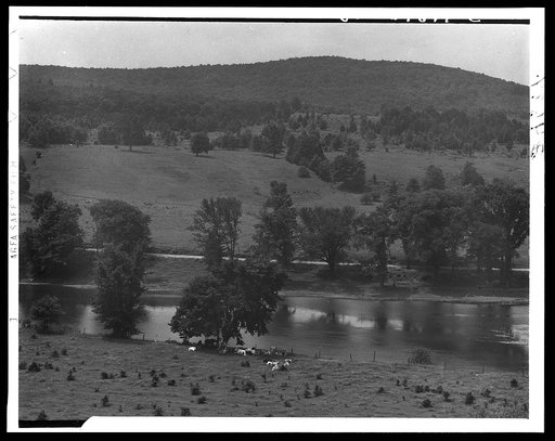 Landscape view
