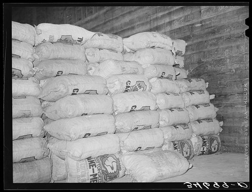 Cotton seed meal in storage. Cotton seed oil mill. McLennan County, Texas