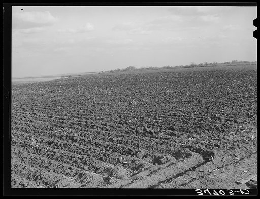 Cornfield freshly plowed in the fall. McLennan County, Texas