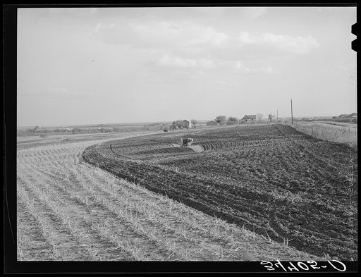 Cornfield freshly plowed in the fall. McLennan County, Texas