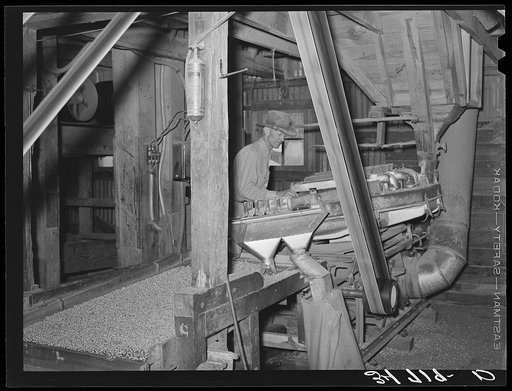 Peanut grader. Peanut-shelling plant. Comanche, Texas