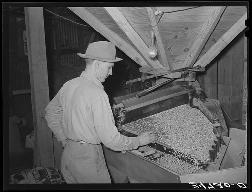 Peanut grader. Peanut-shelling plant. Comanche, Texas
