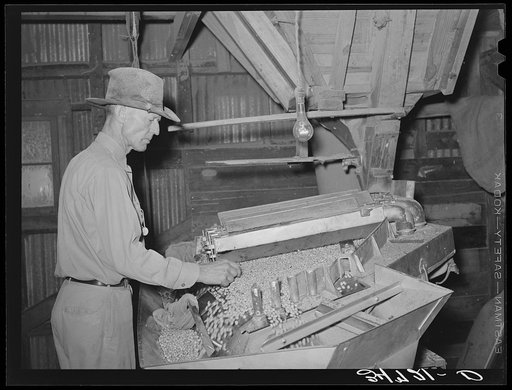 Untitled photo, possibly related to: Peanut grader. Peanut-shelling plant. Comanche, Texas