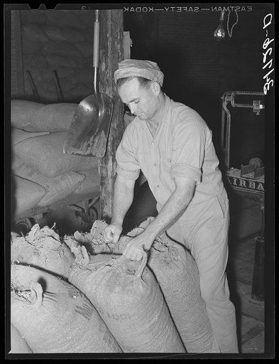 Worker at peanut-shelling plant. Comanche, Texas