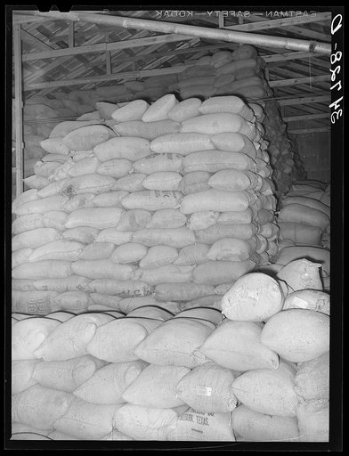 Feed made from peanut shells and blackstrap molasses in storage at peanut-shelling plant. Comanche, Texas