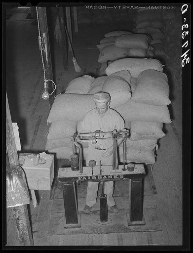 Untitled photo, possibly related to: Worker at peanut-shelling plant. Comanche, Texas