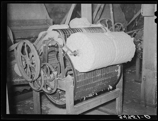 Linters, that cotton which clings to the seed, is removed and then formed into bats. Linters is of particular value in chemical industries because of its cellulosic content. Cotton seed oil mill. McLennan County, Texas