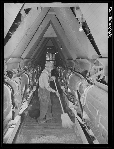 Sweeping up around the machine which removes the linters from the seed. Cotton seed oil mill. McLennan County, Texas