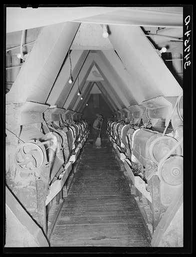 Untitled photo, possibly related to: Sweeping up around the machine which removes the linters from the seed. Cotton seed oil mill. McLennan County, Texas