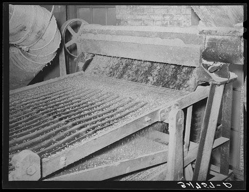 The cleaning of the linters from seed is accomplished in several stages. This screening machine separates the cotton seed according to degree of delinting. Cotton seed oil mill. McLennan County, Texas. See caption number 34751-D