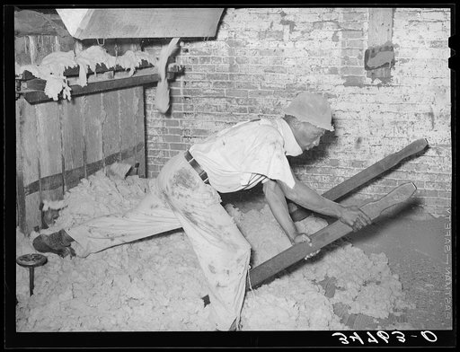 Negro working levers for baling machine in cotton seed oil mill. McLennan County, Texas