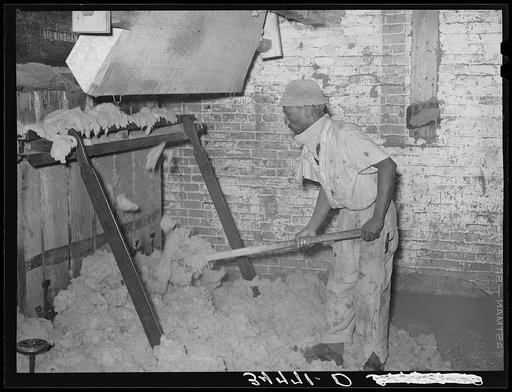 Negro stuffing linters into baling machine. Cotton seed oil mill, McLennan County, Texas