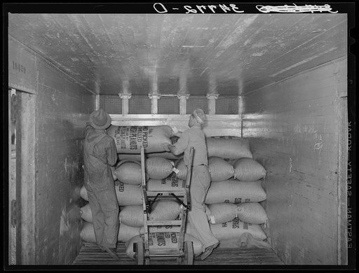Loading carload of peanuts at peanut-shelling plant. Comanche, Texas