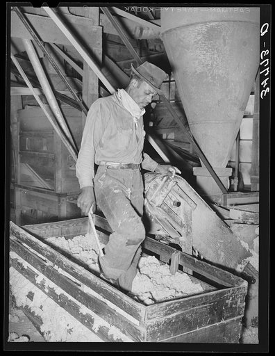 Negro workman packing down cotton linters in truck at cotton seed oil mill. McLennan County, Texas