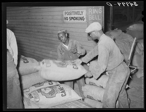 Handling sacks of cotton seed cake meal at cotton seed oil mill. McLennan County, Texas