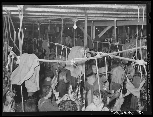 Untitled photo, possibly related to: Picking turkeys at cooperative poultry house. Brownwood, Texas
