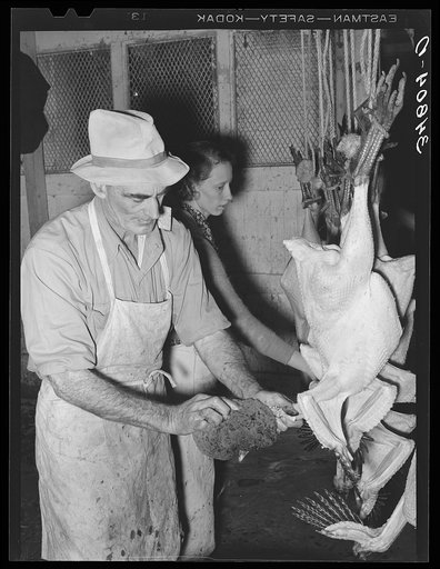 Untitled photo, possibly related to: Sponging of the necks of freshly-picked turkeys. Cooperative poultry house, Brownwood, Texas