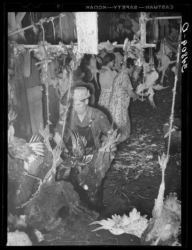 Picking turkeys at cooperative poultry house. Brownwood, Texas