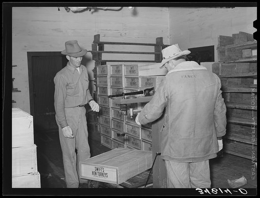 Weighing box of turkeys to be loaded into freight car at cold storage plant. Brownwood, Texas. Sheepskin coat is necessary because of low temperature in cold storage plant